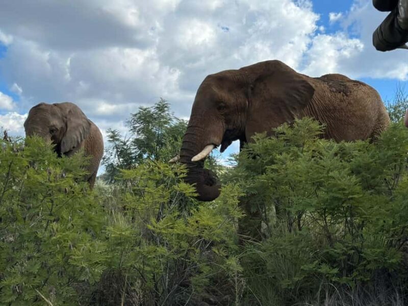 Kruger National Park: 4-Day Ultimate Safari Tour - Starting Point: Johannesburg to Kruger via the Panorama Route