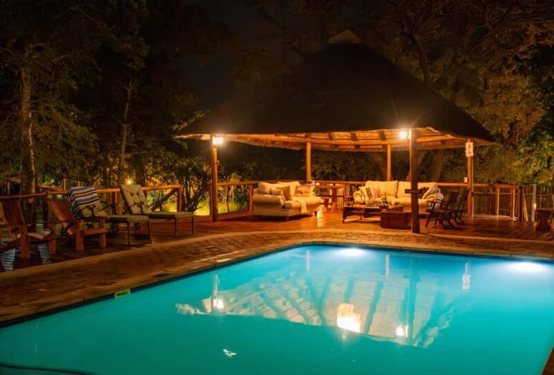 Kruger National Park: 5-Day Discover the Kruger Park Safari - Introduction: A Genuine Kruger Experience Worth Considering