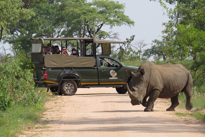 Kruger National Park Afternoon Private safari - What to Expect from the Kruger Private Safari