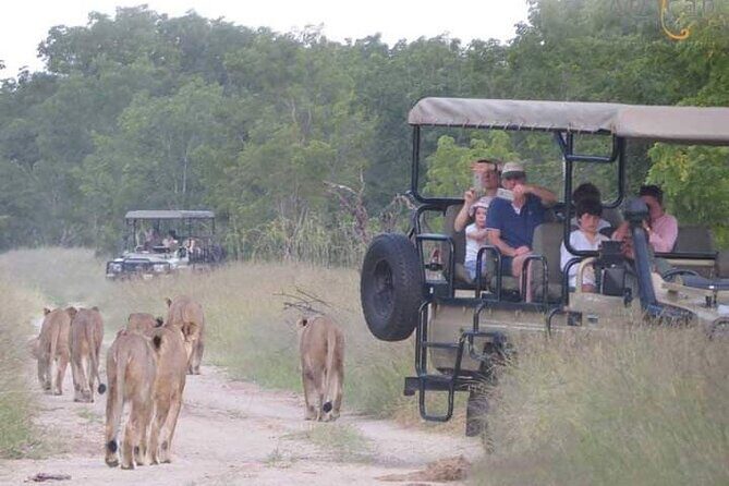 Kruger National Park Best Tour - Transportation, Accommodation, and Group Size