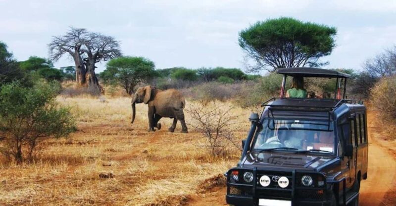 Kruger National Park & Blyde River Canyon 4 Day Safari - A Deep Dive into the 4-Day Experience