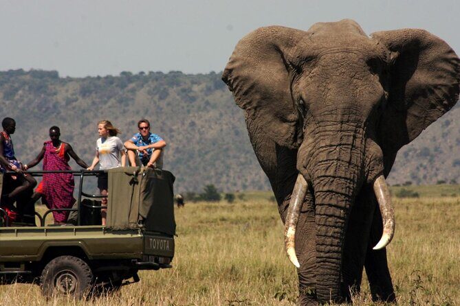 Kruger National Park & Blyde River Canyon Tour from Johannesburg - The Itinerary in Detail