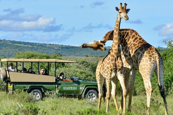 Kruger National Park & Blyde River Canyon Tour from Johannesburg - FAQs