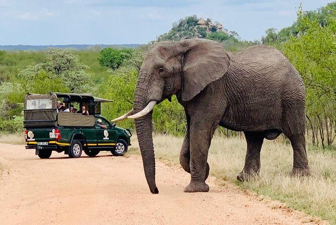Kruger National Park Full Day Private safari - Key Points