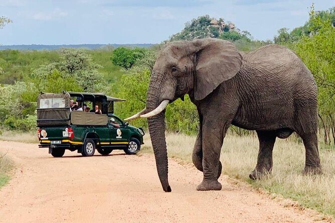 Kruger National Park Full Day Private safari - FAQ