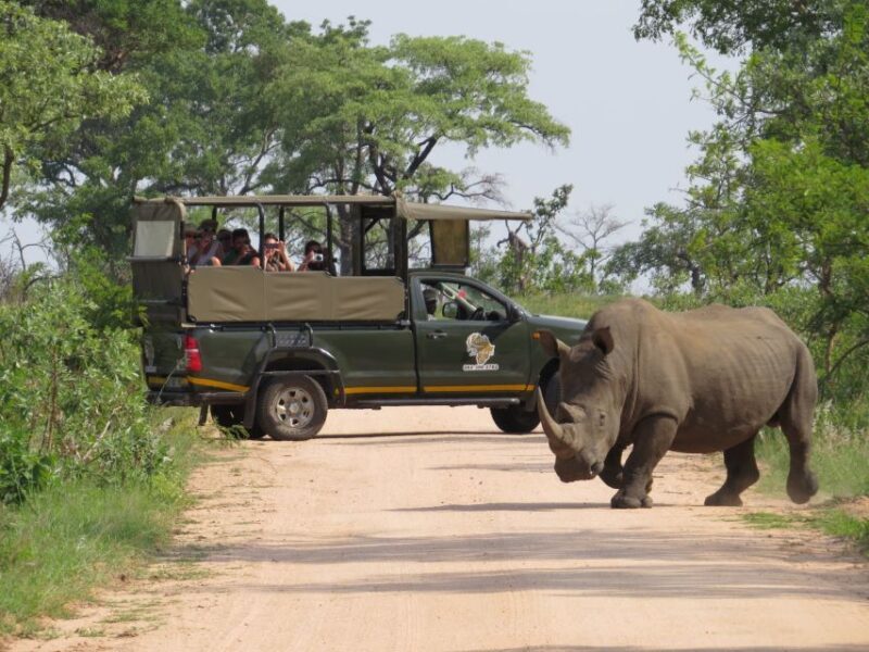 Kruger National Park: Full-Day Private Safari With Pickup - Key Points