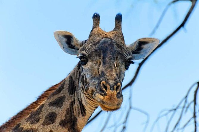 Kruger National Park Full Day Tour Minimum 2people - Frequently Asked Questions (FAQs)