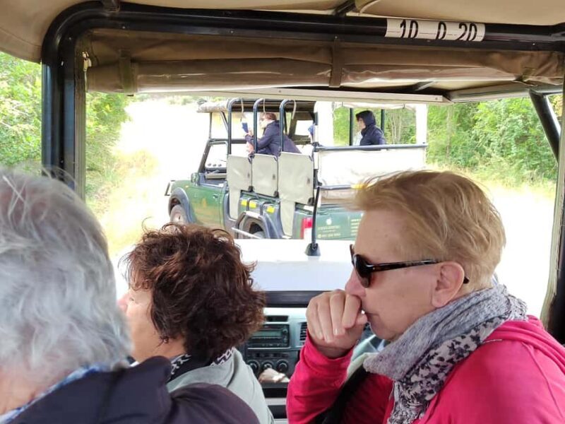 Kruger National Park half day - Key Points