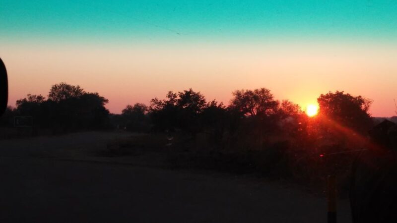 Kruger National Park Morning Safari - The Sum Up