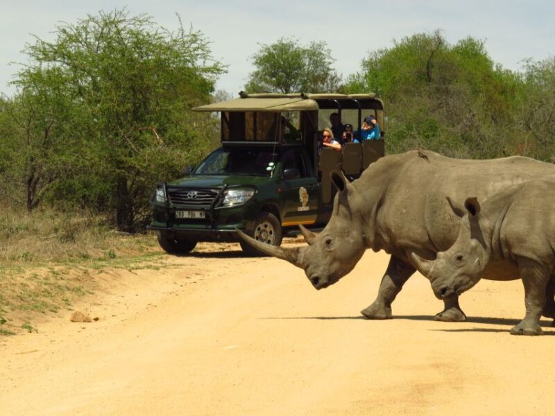 Kruger National Park: Morning Safari - Key Points