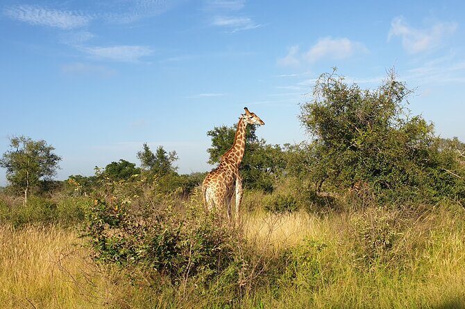 Kruger National Park & Panorama Route From Johannesburg 3 Days & 2 Nights - The Sum Up
