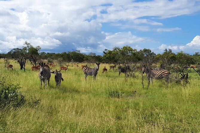 Kruger National Park & Panorama Route From Johannesburg 3 Days & 2 Nights - FAQ