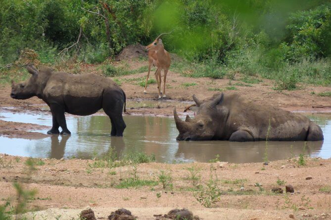 Kruger National Park - Private 3 day, 2 night safari trip. - Who Should Consider This Safari?