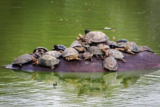 Kruger National Park - Private 3 day, 2 night safari trip. - FAQ