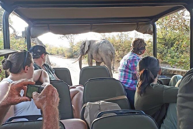Kruger National Park Private Full-Day Safari - Private Safari Vehicle & Guide - Summary