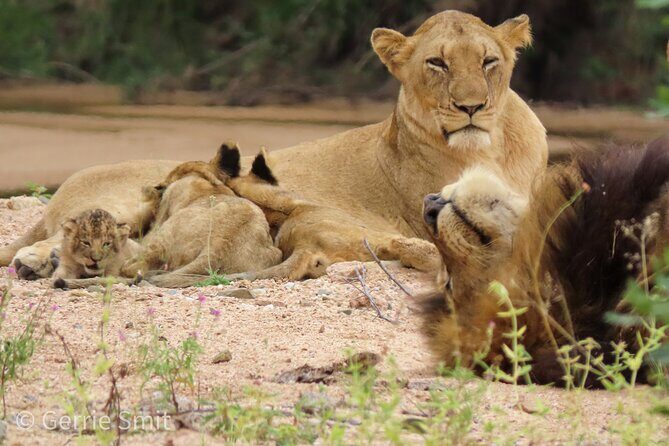 Kruger National Park - Private full day Safari trip. - FAQ