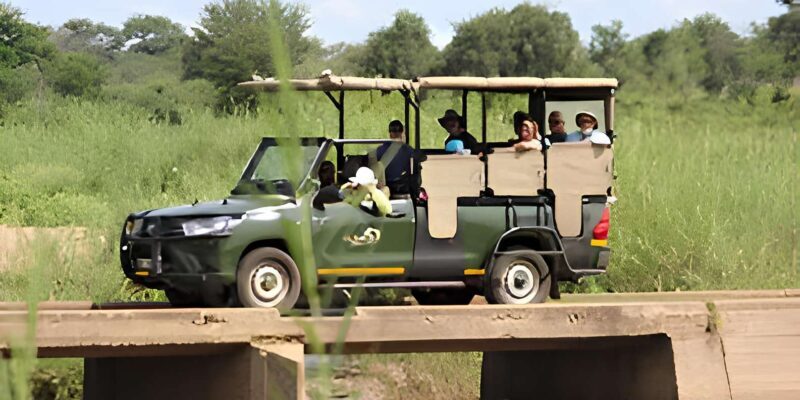 Kruger National Park Safari (Full Day) - Key Points