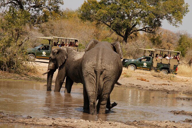 Kruger National Park sunrise Morning Private safari - The Experience in Detail