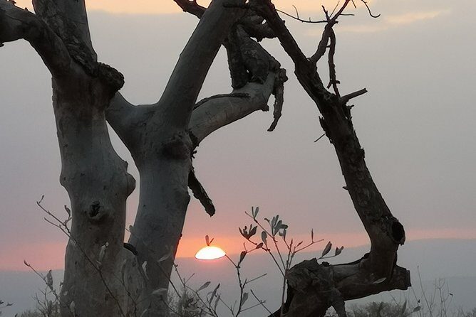 Kruger National Park - Sunset Safari trip. - Meeting at Phabeni Entrance