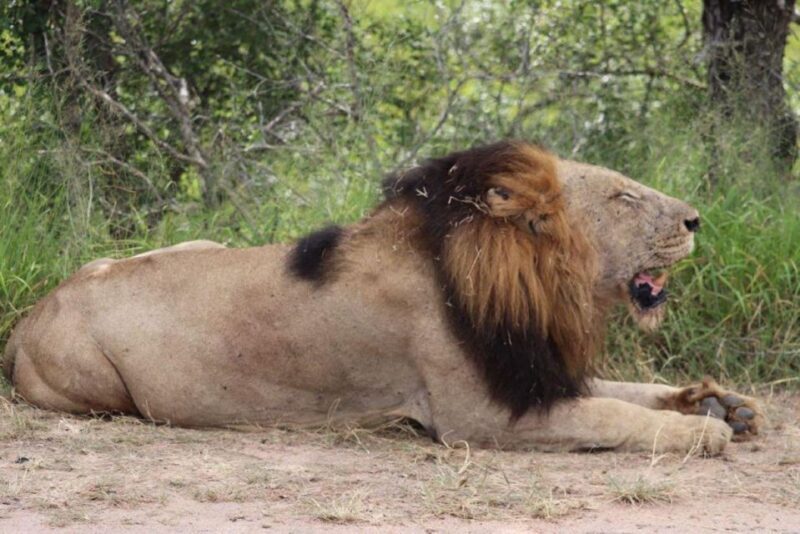 Kruger National Park, - Key Points