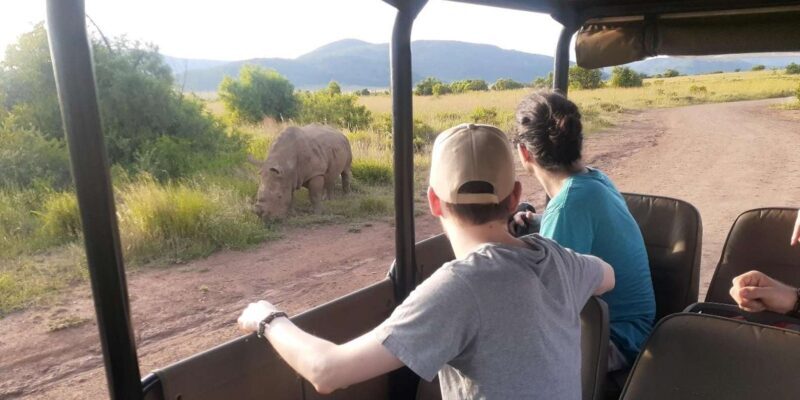 Kruger national park tour 4day-3nights (open safari vehicle) - Who Will Love This Tour?