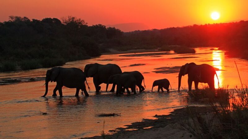 Kruger National Park: Village Tour & Halfday Kruger Safari - Key Points