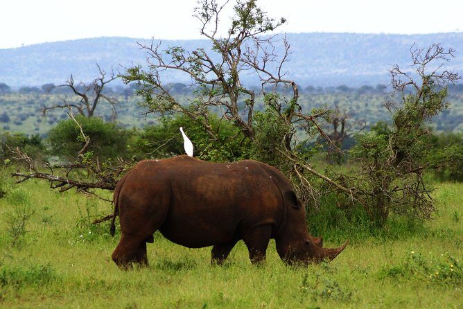 Kruger Park 2-day Safari from Maputo (Open-backed Safari Vehicle) - Key Points