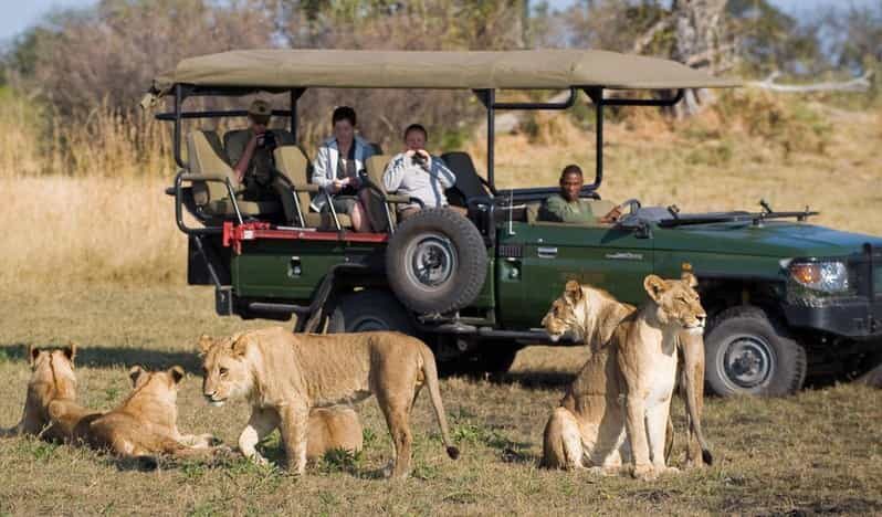 Kruger Park & Blyde River Canyon 4Day Safari fr Johannesburg - Key Points