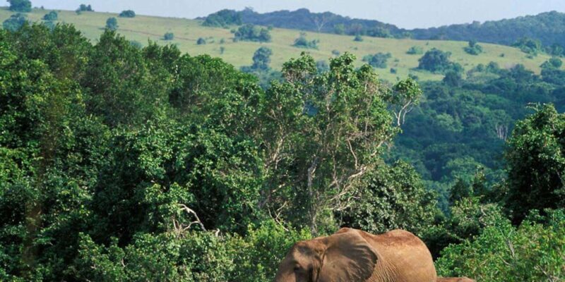 Kruger Park & Blyde River Canyon 4Day Safari fr Johannesburg - Who Is This Tour Best For?