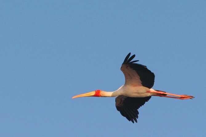 Kruger Park - Full day - Private safari vehicle - Who Will Love This Tour?