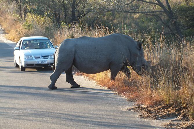 Kruger Park Safari: Guided Day Tour from Nelspruit - Authentic Experiences and What You’ll Remember