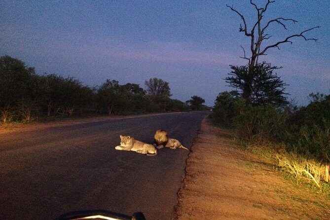 Kruger Park Safari: Guided Day Tour from Nelspruit - Who Will Love This Tour?