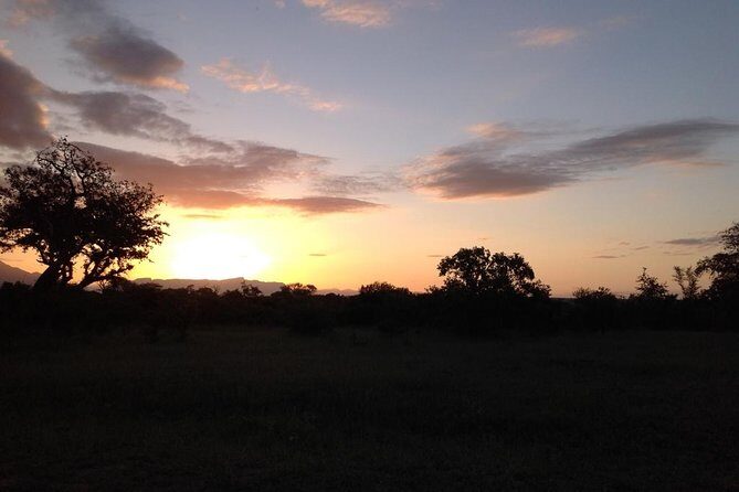 Kruger Park Safari: Guided Day Tour from Nelspruit - Wrapping Up