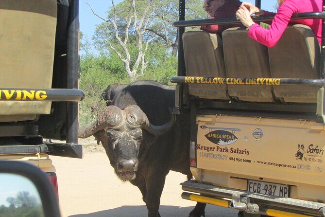 Kruger Park Safari Private Full-Day Tour from Malelane - Practical Considerations