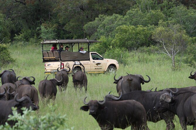 Kruger Park Safari Private Full-Day Tour from Marloth Park - The Sum Up