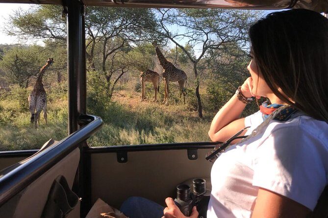 Kruger Safari Tour - Full Day - Practical Tips for Booking and Participating