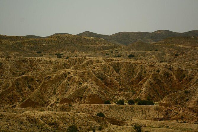 Ksar Ghilane 1 day: The hot spring and the homestay - Ksar Ghilane 1 Day: The Hot Spring and the Homestay — An In-Depth Review