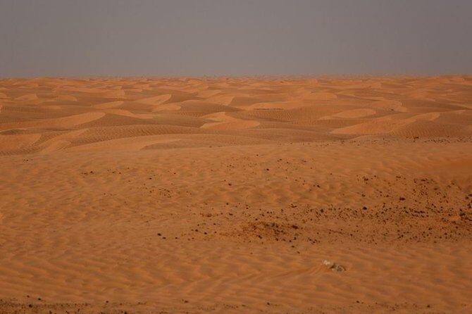 Ksar Ghilane 1 day: The hot spring and the homestay - The Big Picture: What Is This Tour All About?