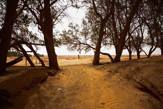 Ksar Ghilane 1 day: The hot spring and the homestay - Is This Tour Worth It?