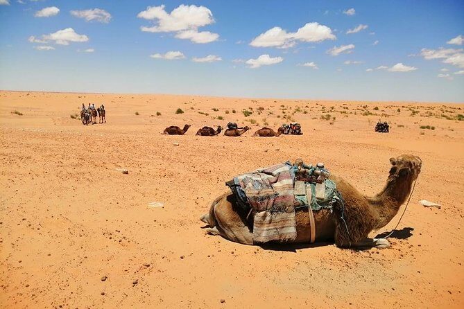 Ksar Ghilane 1 day: The hot spring and the homestay - Frequently Asked Questions