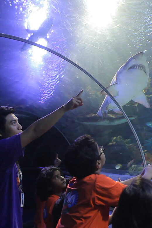 Kuala Lumpur: Aquaria KLCC Entry Ticket - Final Thoughts