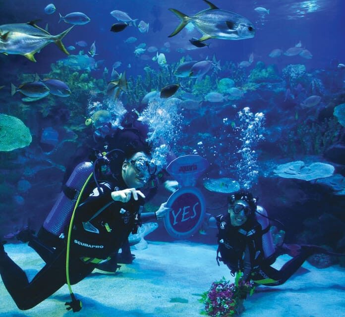 Kuala Lumpur: Aquaria KLCC Entry Ticket - FAQ