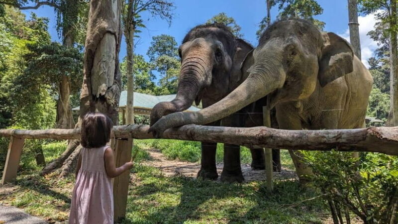 Kuala Lumpur: Batu Caves & Kuala Gandah Elephant Sanctuary - Kuala Gandah Elephant Sanctuary: Heartwarming Wildlife Encounters