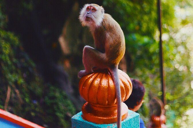 Kuala Lumpur Batu Caves Temple tour with Breakfast and Lunch - Who It’s Best For
