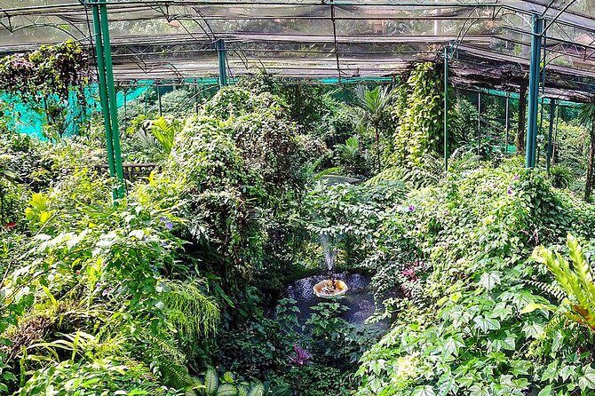 Kuala Lumpur Bird Park & Butterfly Farm Tour - Authenticity and Value