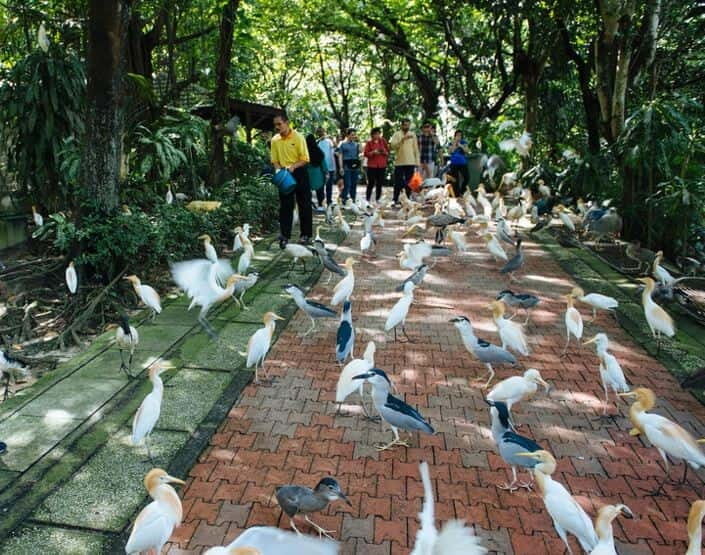 Kuala Lumpur: Bird Park, Butterfly & Garden Private Tour - An In-Depth Look at the Tour Experience