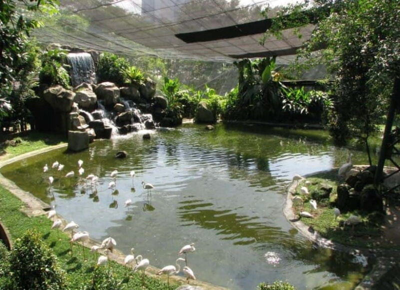 Kuala Lumpur: Bird Park, Butterfly & Garden Private Tour - Final Thoughts