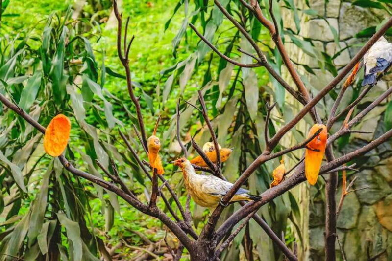 Kuala Lumpur: Bird Park Day Ticket & 1-Way Transfer - An In-Depth Look at the Kuala Lumpur Bird Park Experience