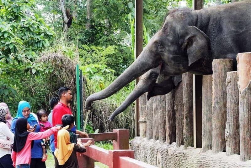 Kuala Lumpur Day Tour: Batu Caves & Elephant Sanctuary - The Sum Up: Is This Tour Worth It?