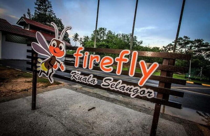 Kuala Lumpur: Fireflies Tour with Dinner and Hotel Pickup - Key Points